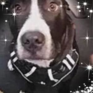 Meet your Posher, Xxxx